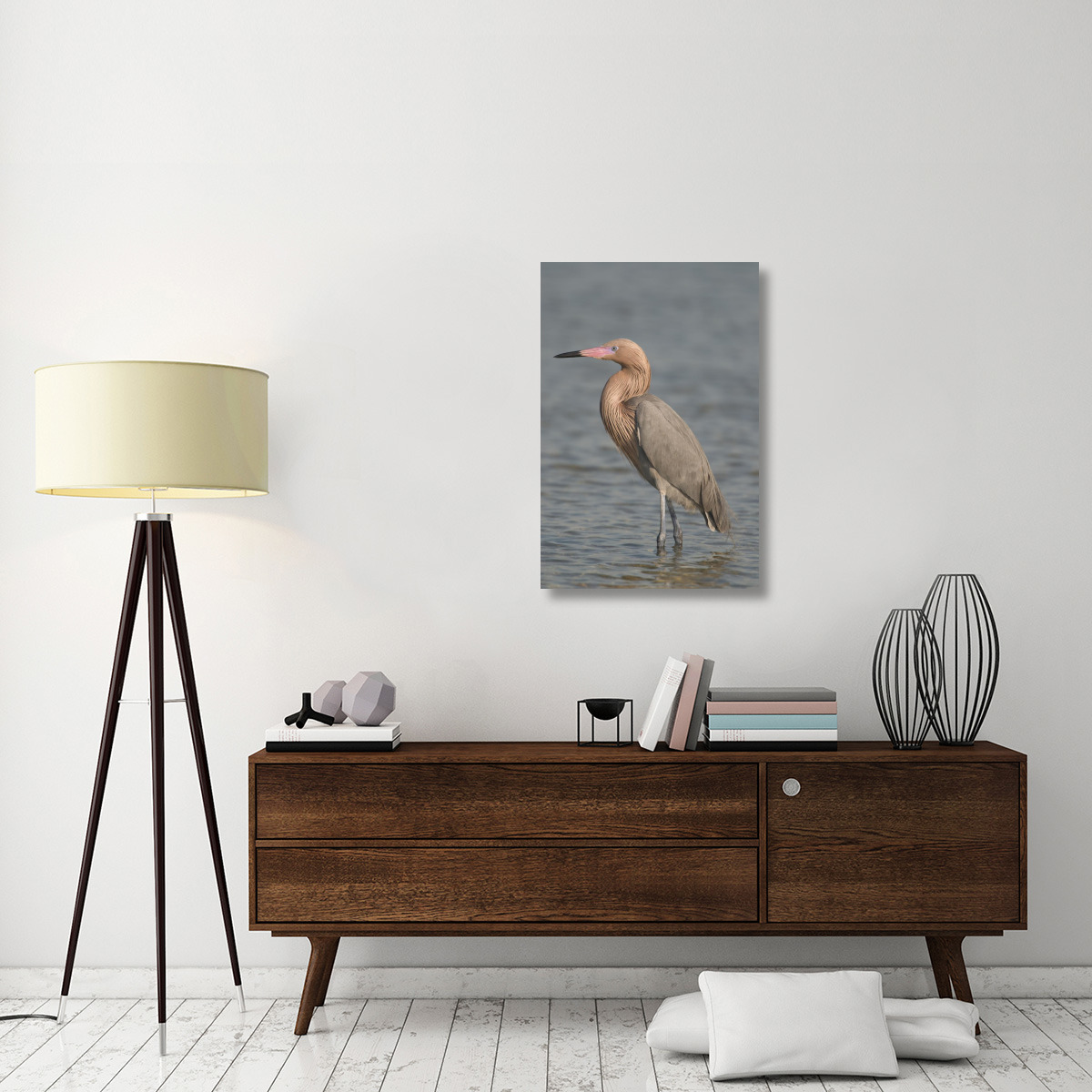 Reddish Egret, Fort Desoto Park, Florida-Canvas Art-24&quotx36"