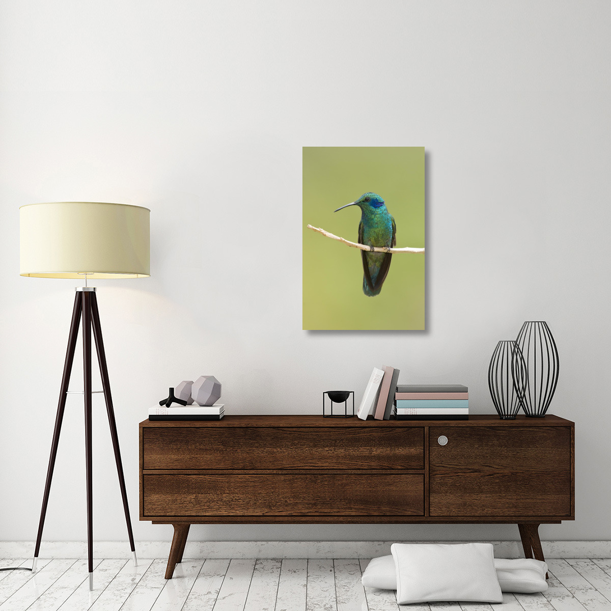 Green Violet-ear hummingbird, Costa Rica-Canvas Art-24&quotx36"