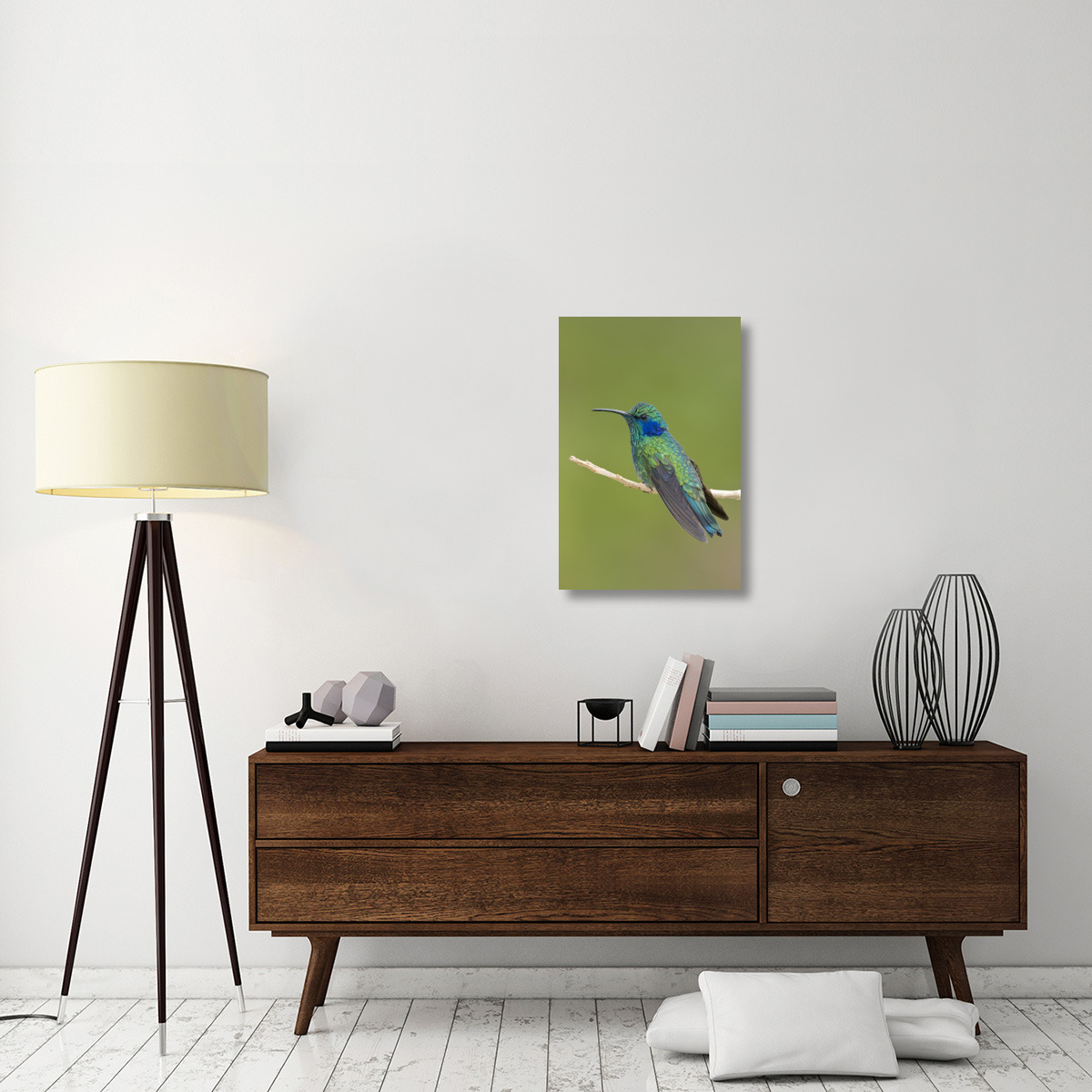 Green Violet-ear hummingbird, Costa Rica-Canvas Art-20&quotx30"