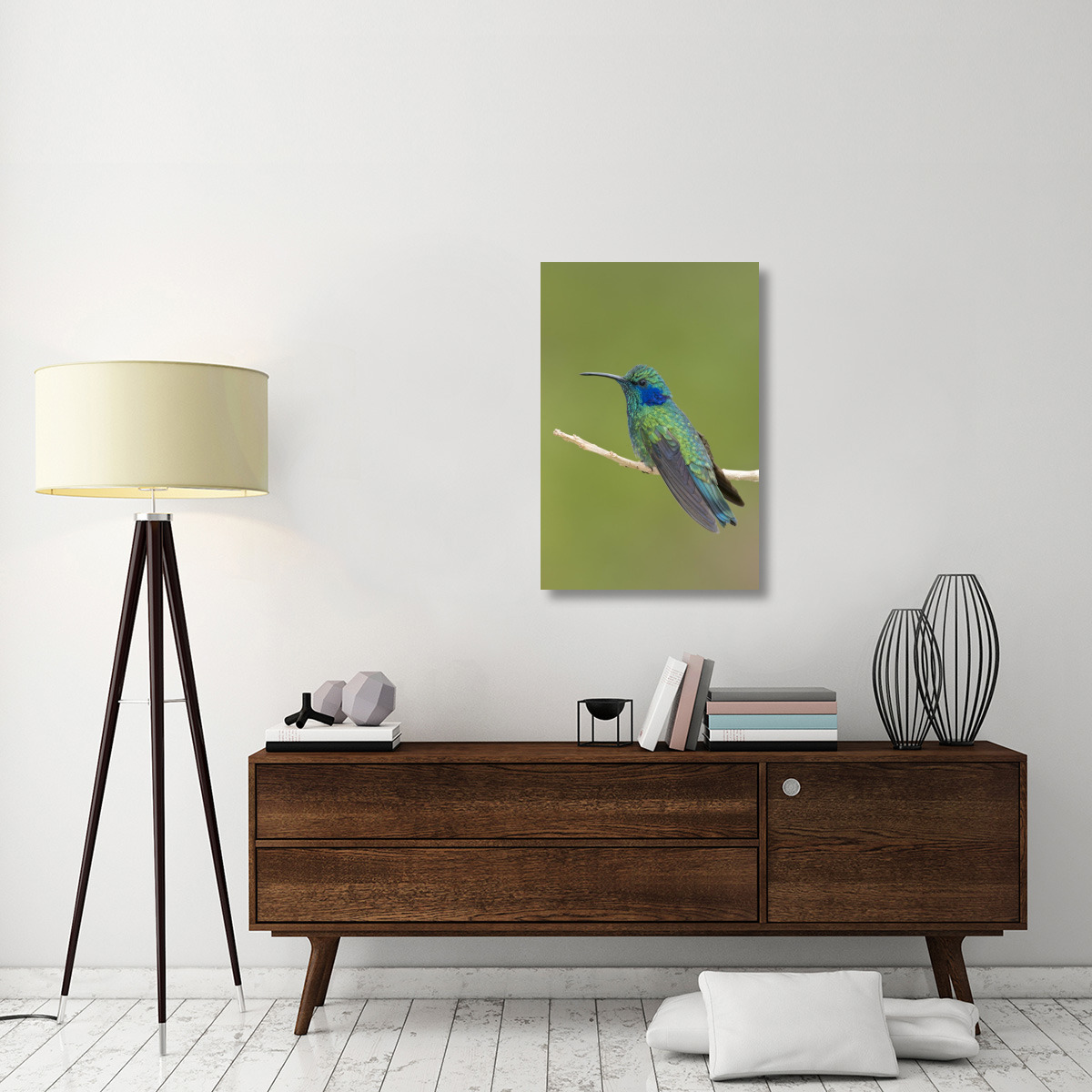 Green Violet-ear hummingbird, Costa Rica-Canvas Art-24&quotx36"