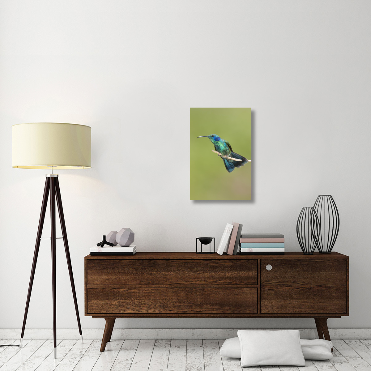 Green Violet-ear hummingbird, Costa Rica-Canvas Art-20&quotx30"