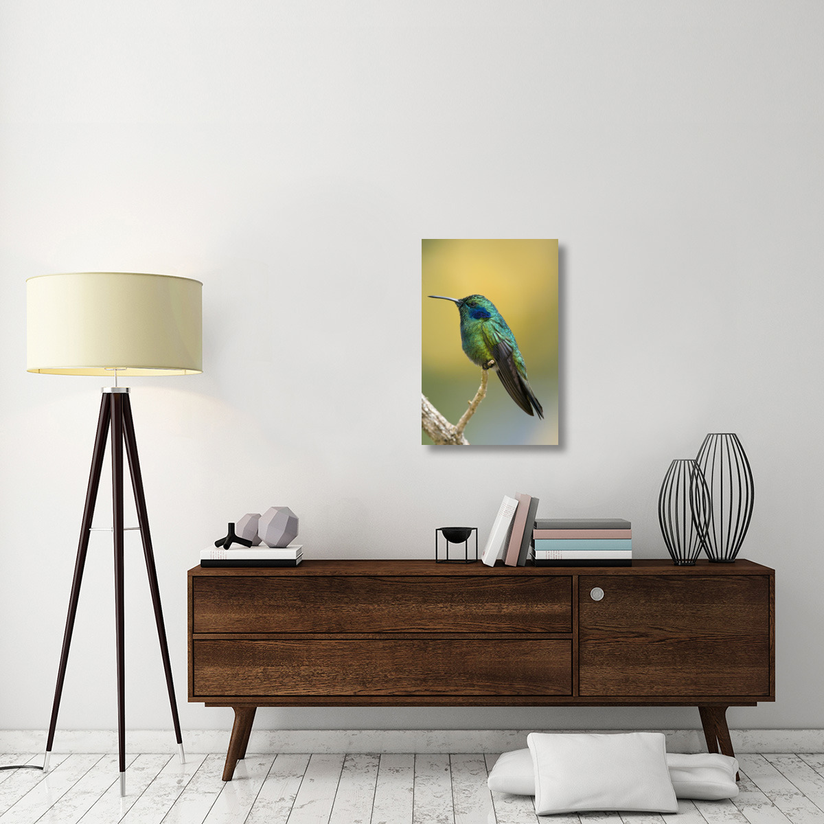 Green Violet-ear hummingbird, Costa Rica-Canvas Art-20&quotx30"