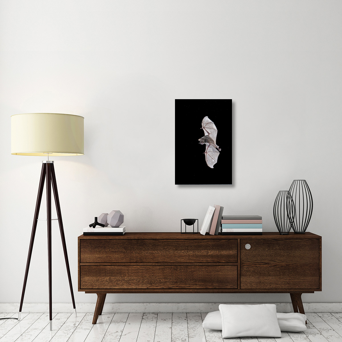 Seba&quots Short-tailed Bat flying, Michigan-Canvas Art-20&quotx30"