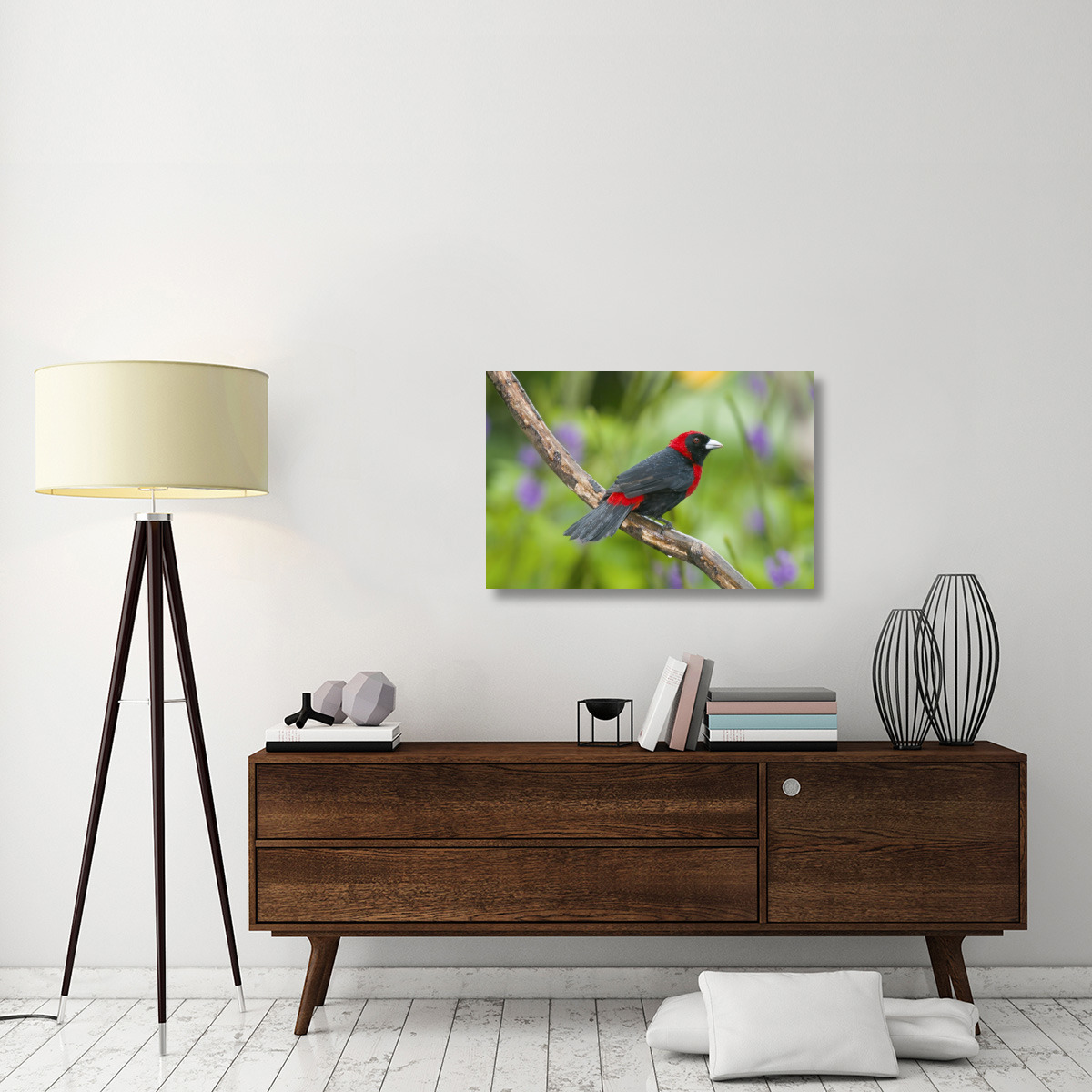 Crimson-collared Tanager male, Costa Rica-Canvas Art-36&quotx24"