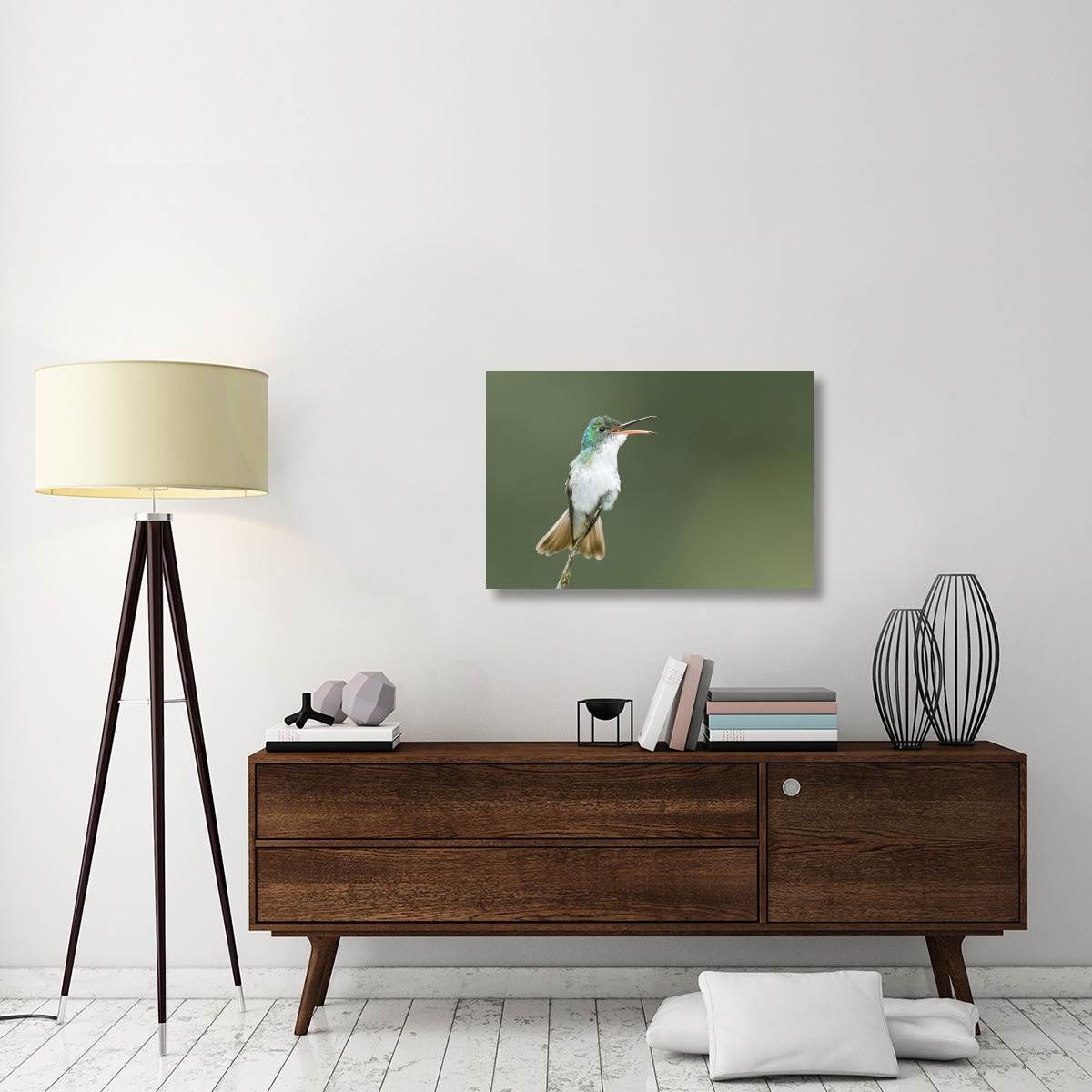 Andean Emerald hummingbird calling, Ecuador-Canvas Art-36&quotx24"