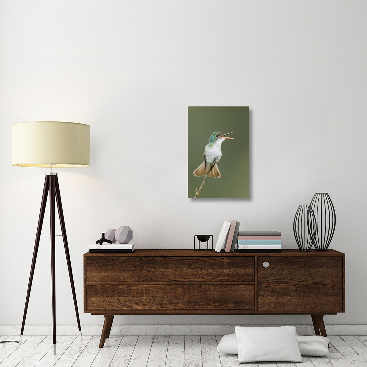 Andean Emerald hummingbird calling, Ecuador-Canvas Art-20&quotx30"