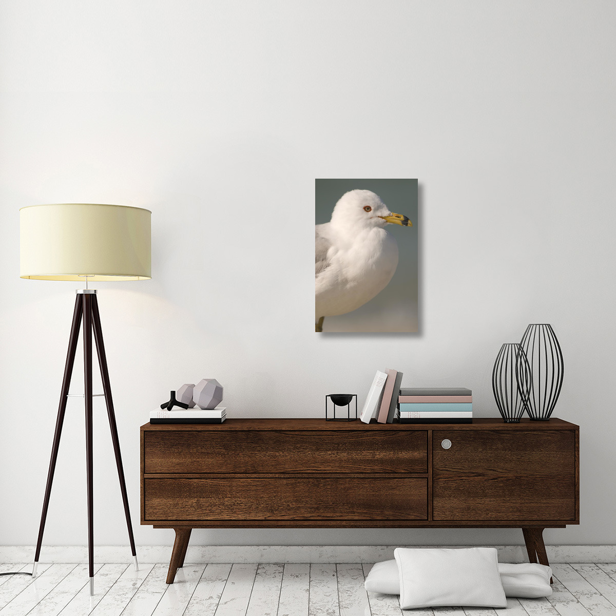Ring-billed Gull, Fort Desoto Park, Florida-Canvas Art-20&quotx30"