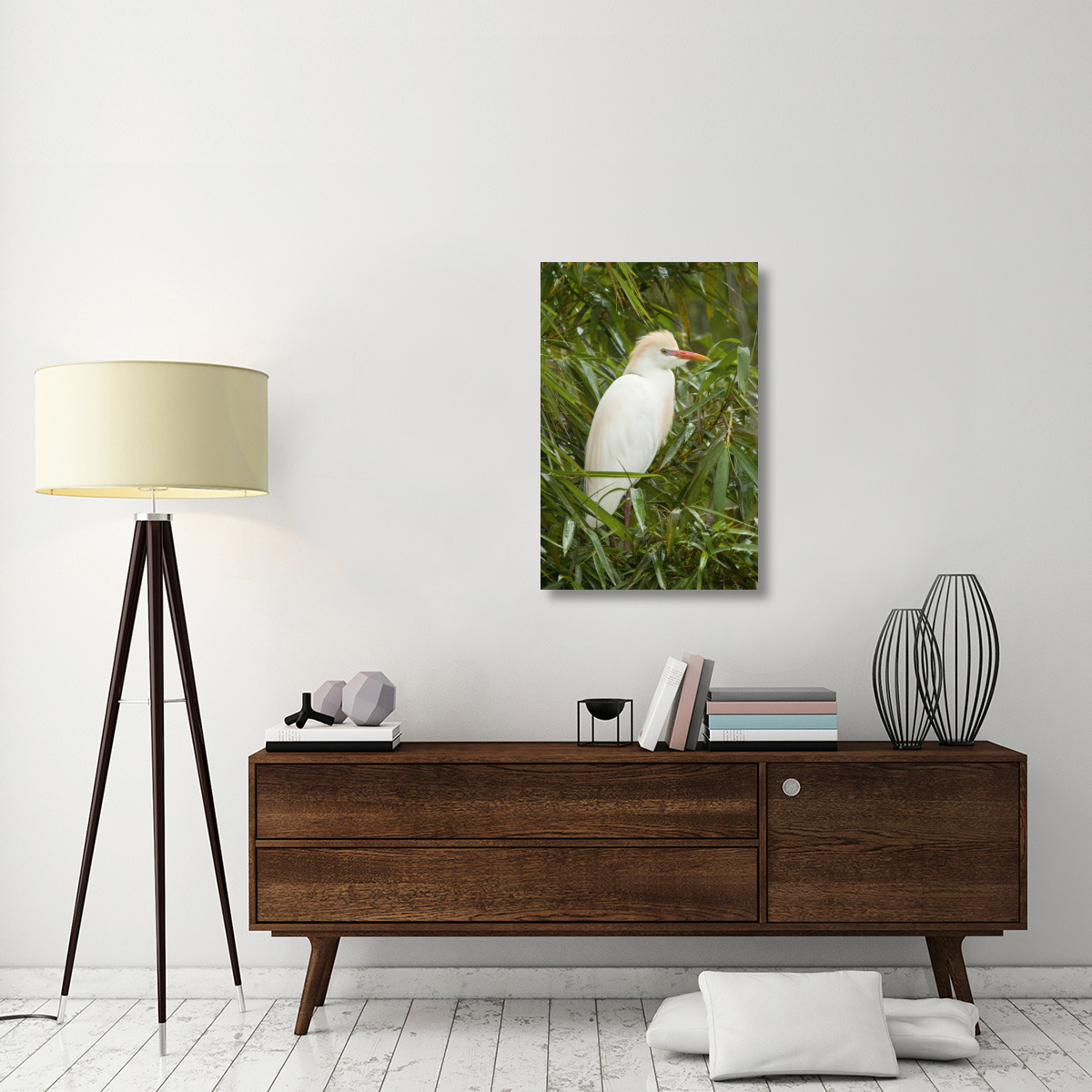 Cattle Egret in breeding plumage, Costa Rica-Canvas Art-24&quotx36"