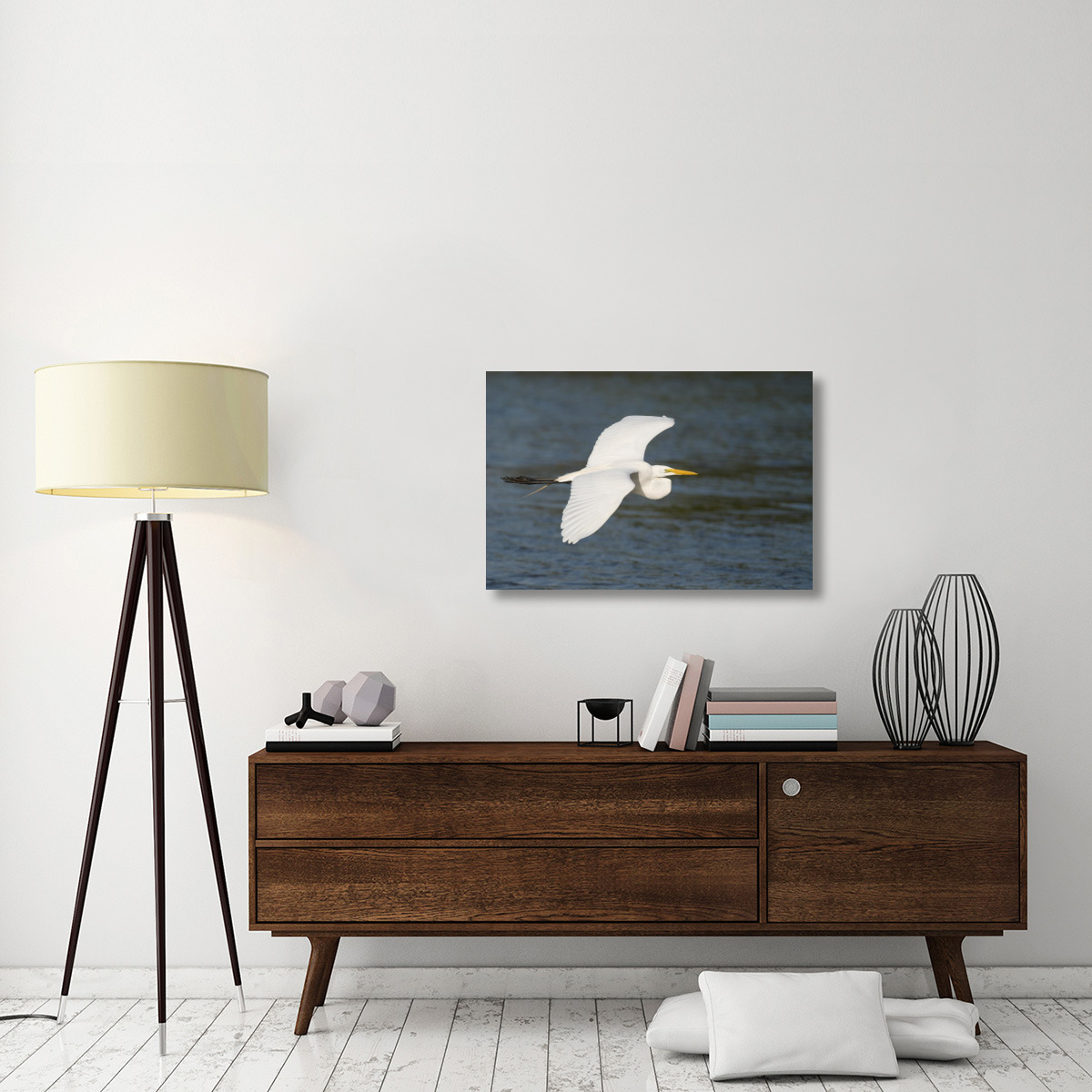 Great Egret flying, Fort Myers Beach, Florida-Canvas Art-36&quotx24"