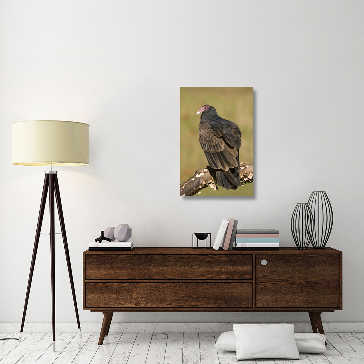 Turkey Vulture, Howell Nature Center, Michigan-Canvas Art-24&quotx36"