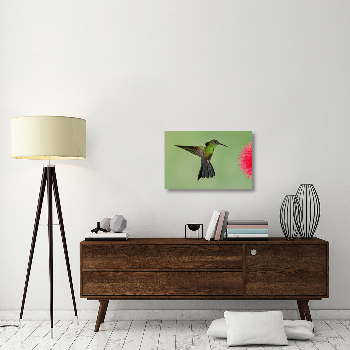 Red-footed Plumeleteer male flying, Costa Rica-Canvas Art-30&quotx20"