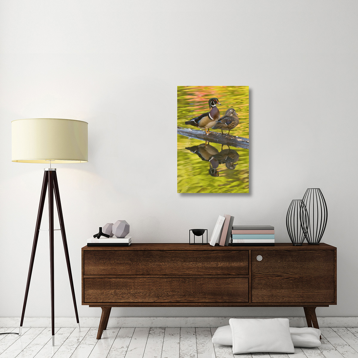 Wood Duck pair, North Chagrin Reservation, Ohio-Canvas Art-24&quotx36"