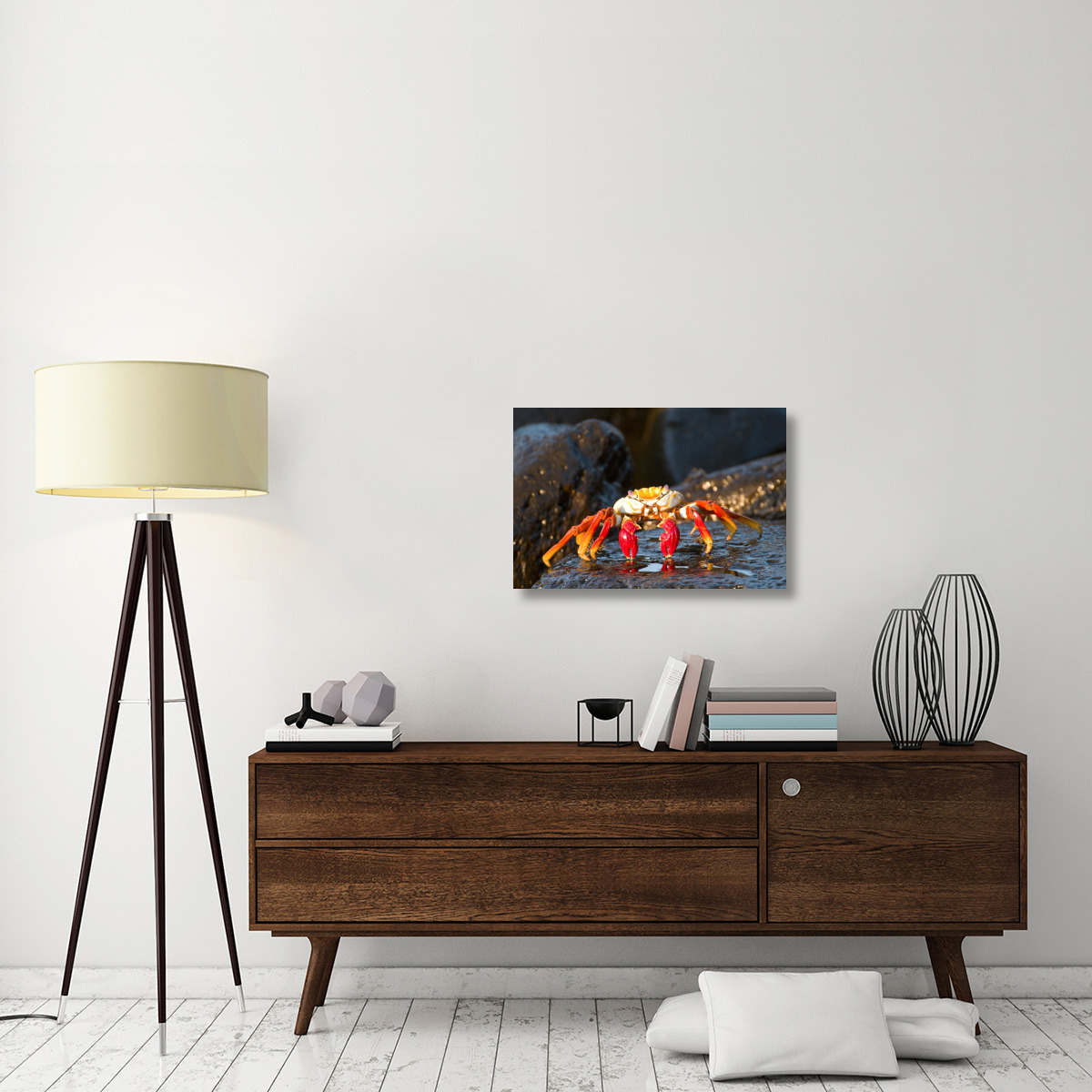 Sally Lightfoot Crab, Galapagos Islands, Ecuador-Canvas Art-30&quotx20"