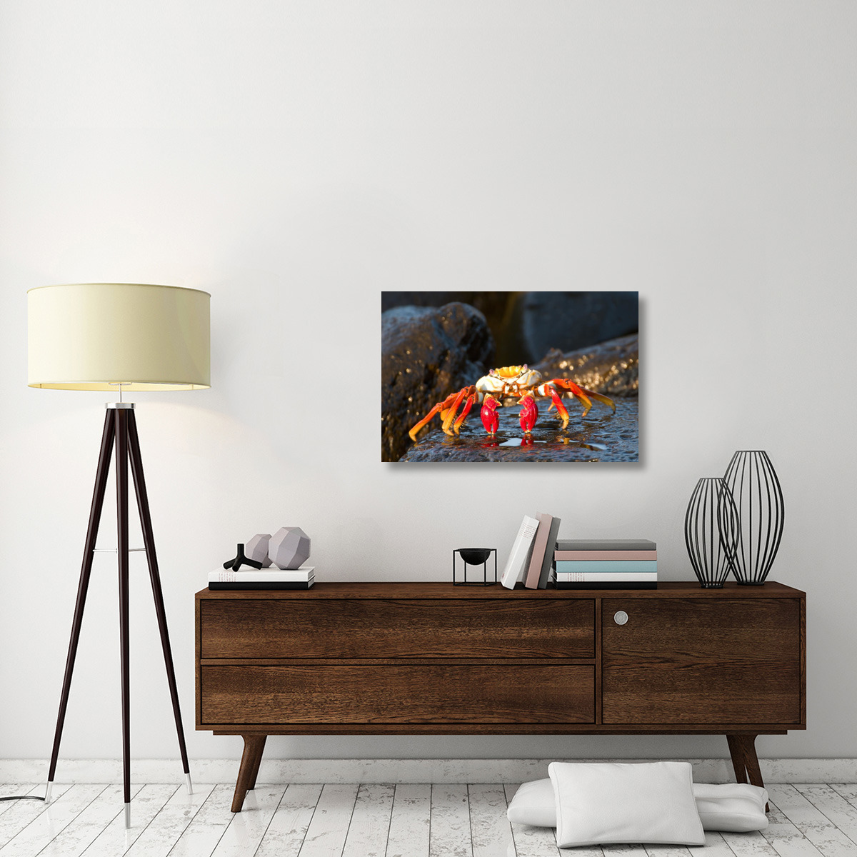Sally Lightfoot Crab, Galapagos Islands, Ecuador-Canvas Art-36&quotx24"