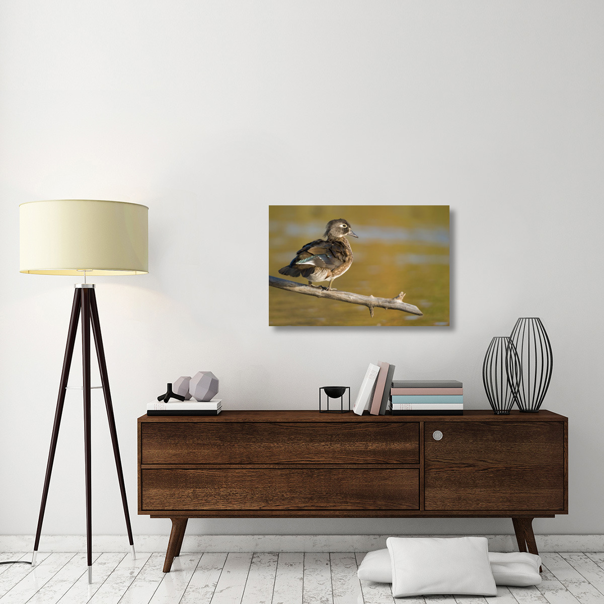 Wood Duck female, North Chagrin Reservation, Ohio-Canvas Art-36&quotx24"
