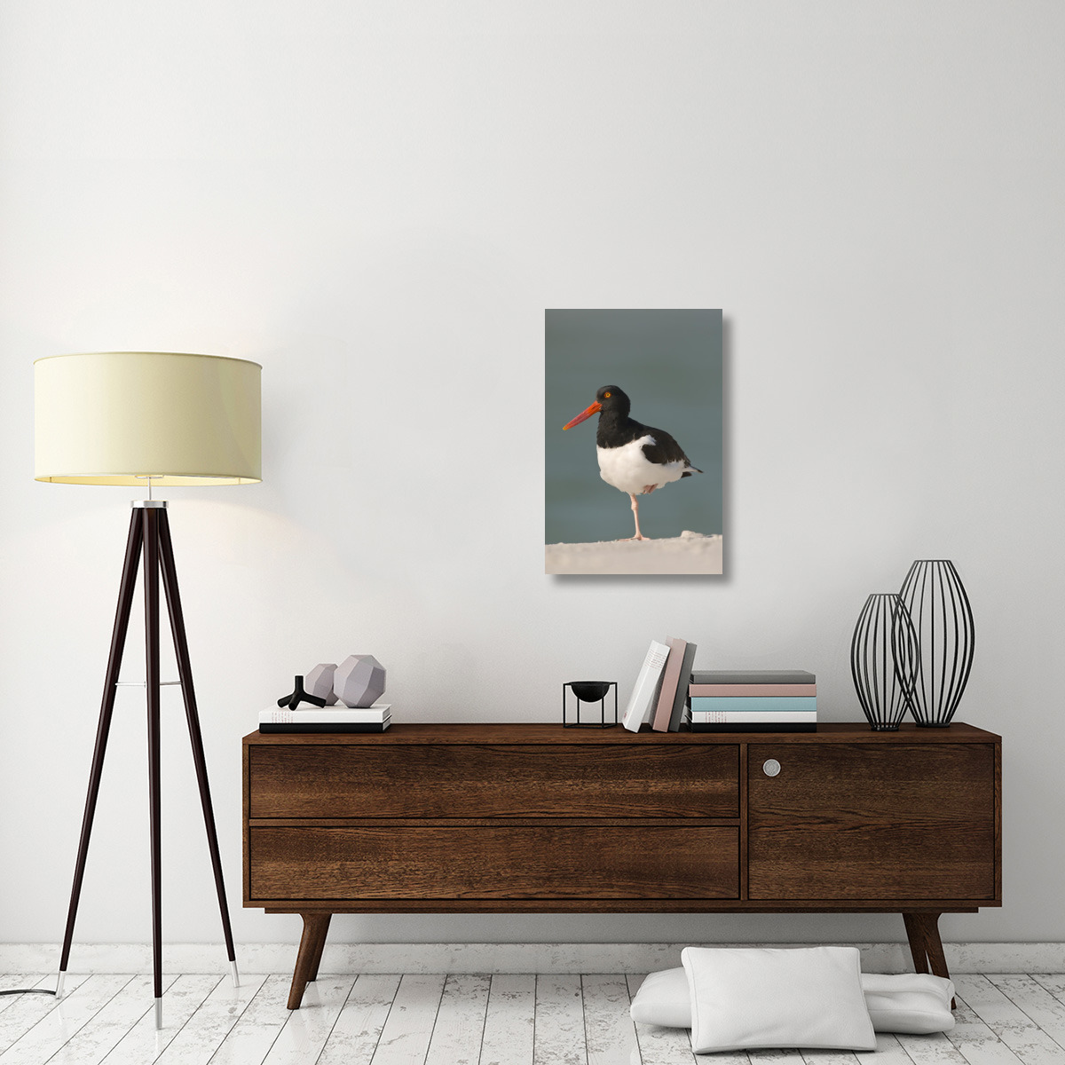 American Oystercatcher, Fort Desoto Park, Florida-Canvas Art-20&quotx30"
