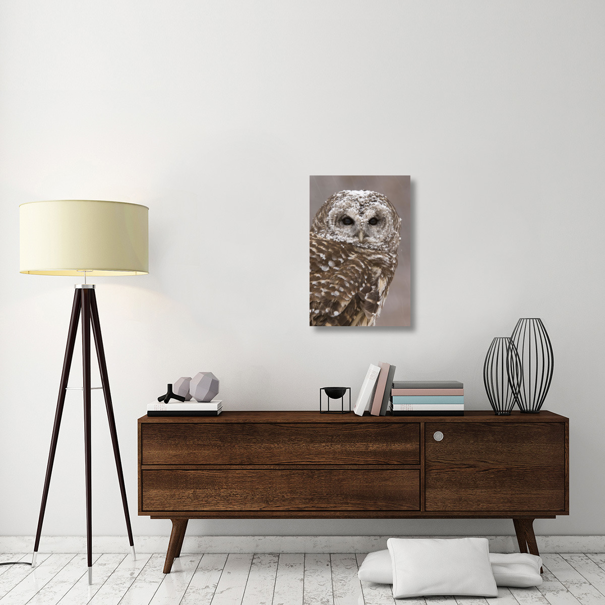 Barred Owl in winter, Howell Nature Center, Michigan-Canvas Art-20&quotx30"