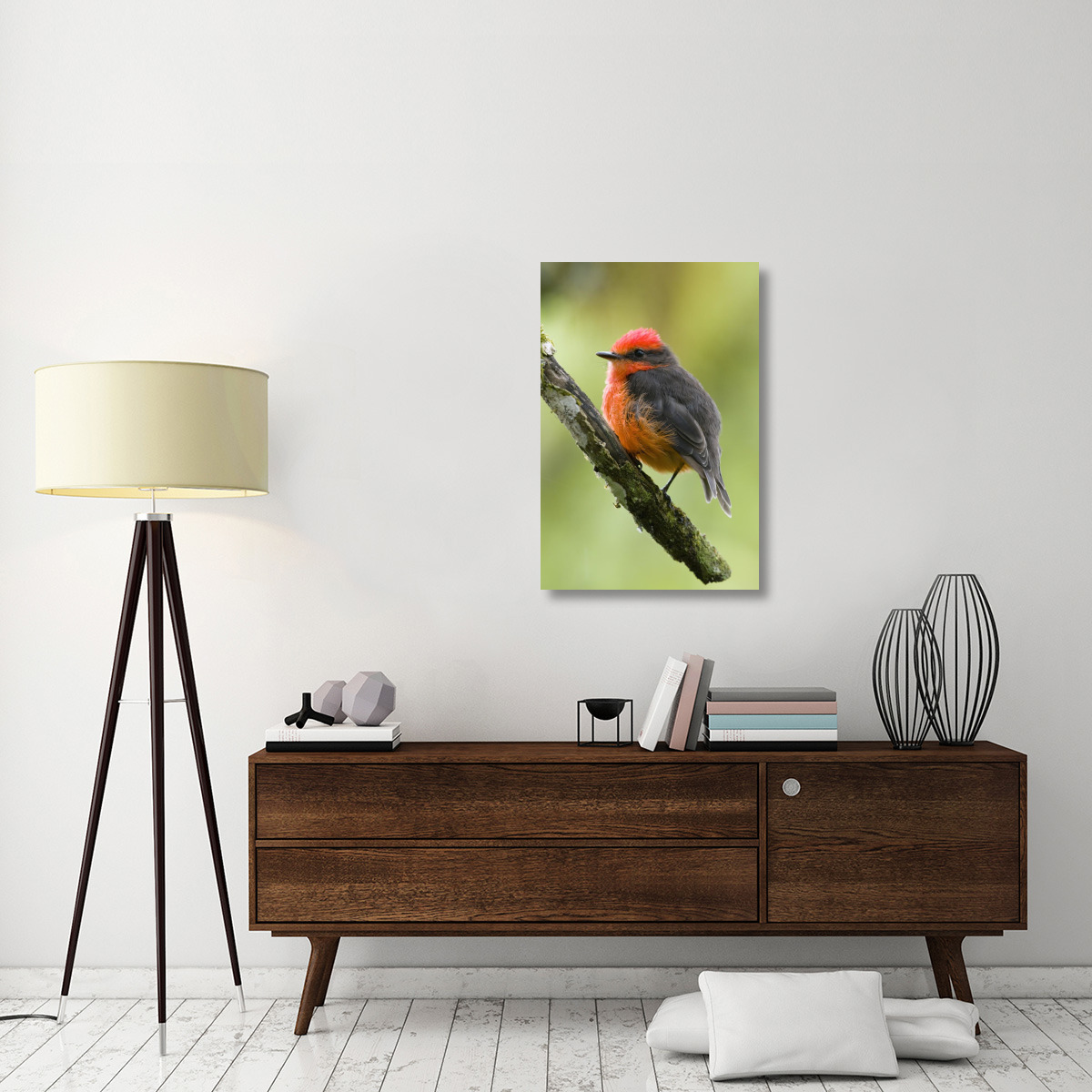 Vermilion Flycatcher male, Galapagos Islands, Ecuador-Canvas Art-24&quotx36"