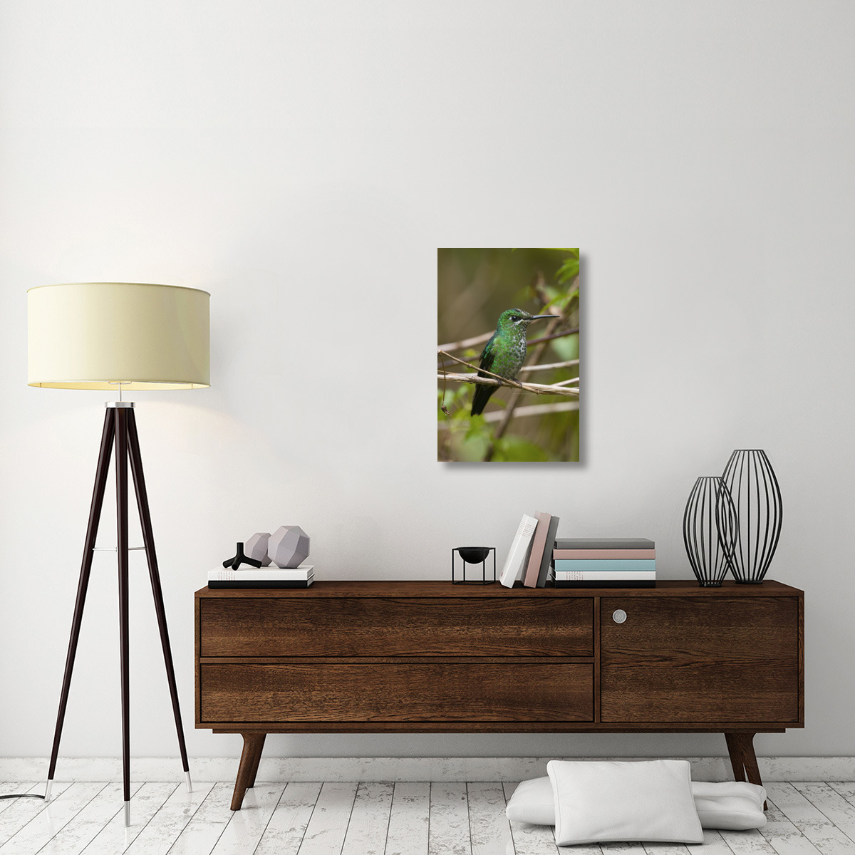 Green-crowned Brilliant hummingbird female, Costa Rica-Canvas Art-20&quotx30"