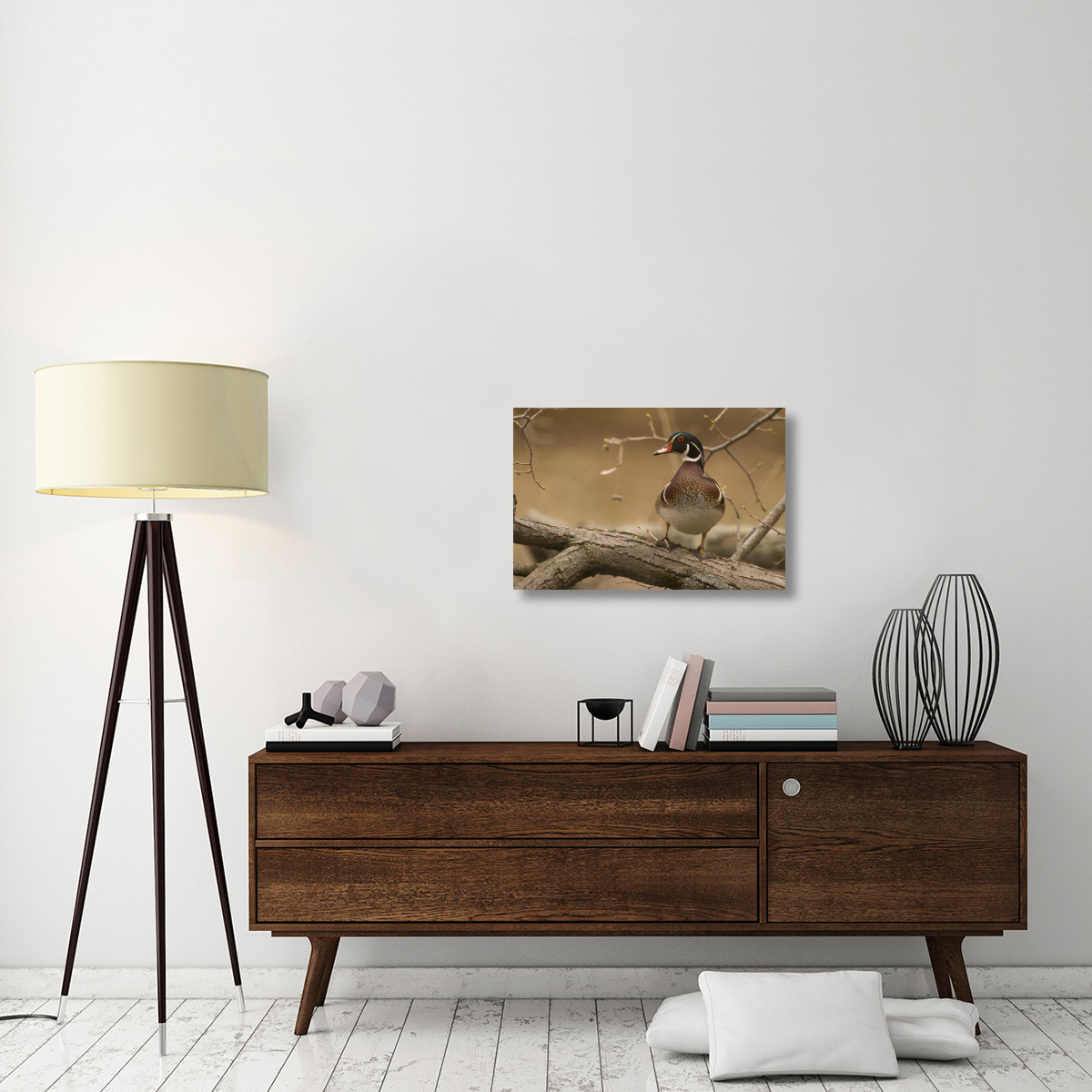 Wood Duck male, Kensington Metropark, Milford, Michigan-Canvas Art-30&quotx20"