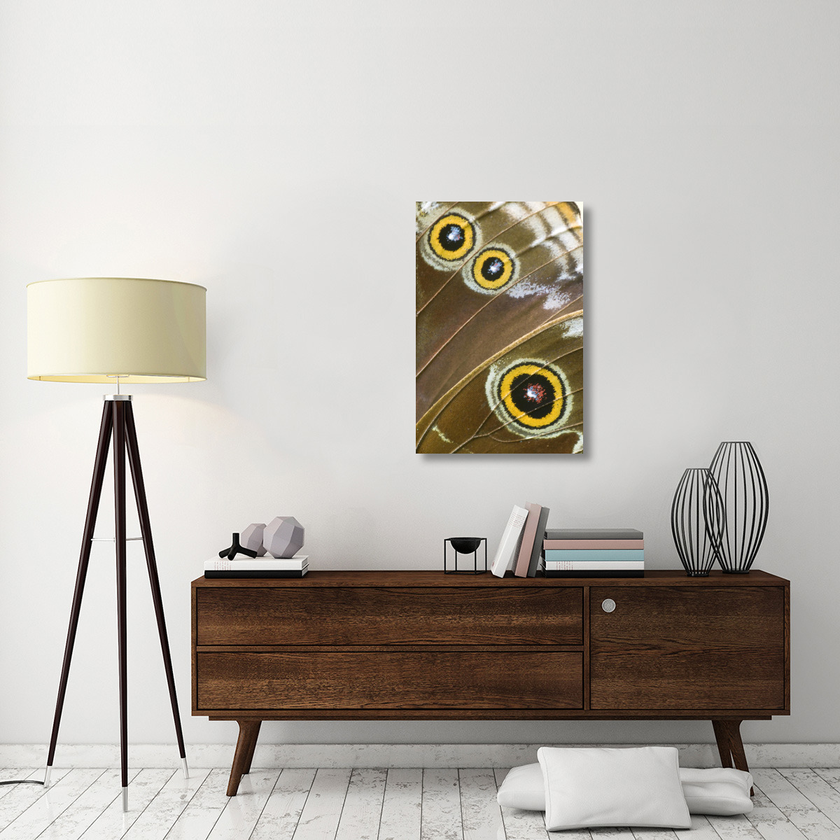 Blue Morpho butterfly wing with false eyespots, Ecuador-Canvas Art-24&quotx36"