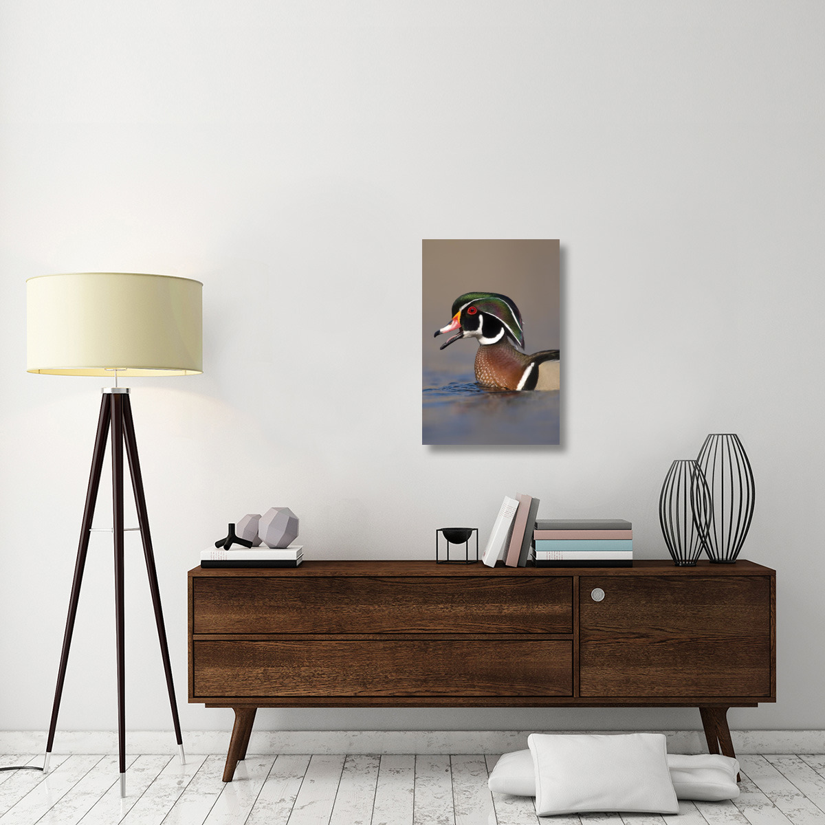 Wood Duck male calling, Lapeer State Game Area, Michigan-Canvas Art-20&quotx30"