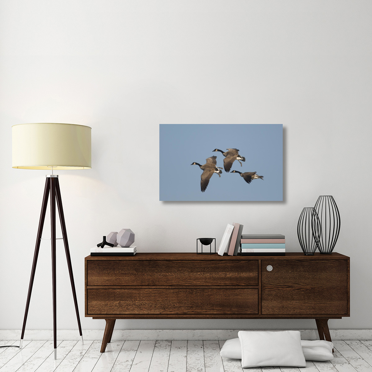 Canada Goose trio flying, Kellogg Bird Sanctuary, Michigan-Canvas Art-40&quotx24.8"