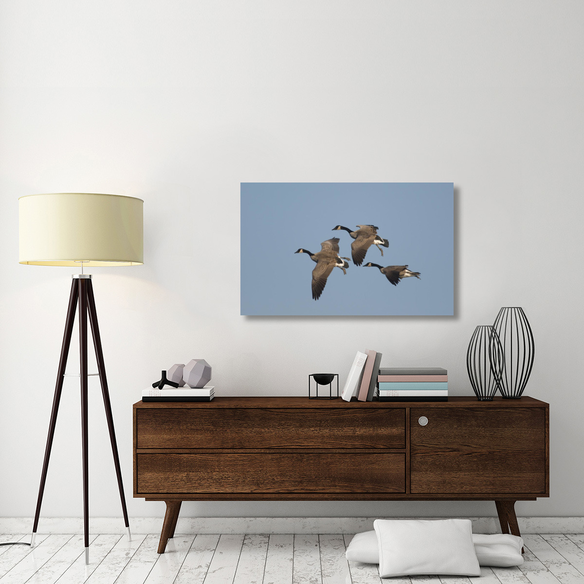 Canada Goose trio flying, Kellogg Bird Sanctuary, Michigan-Canvas Art-44&quotx27.28"