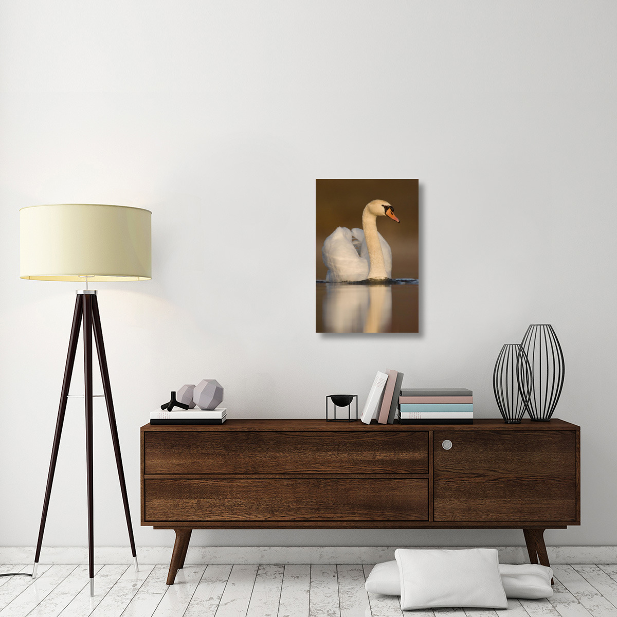 Mute Swan swimming, Kensington Metropark, Milford, Michigan-Canvas Art-20&quotx30"