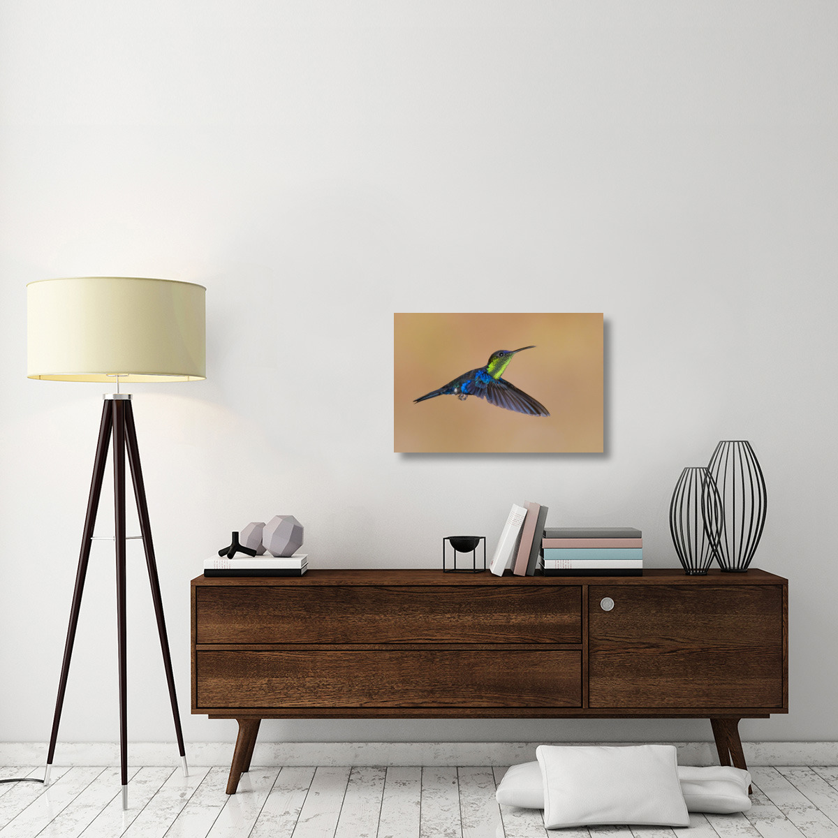Violet-crowned Woodnymph hummingbird male flying, Costa Rica-Canvas Art-30&quotx20"