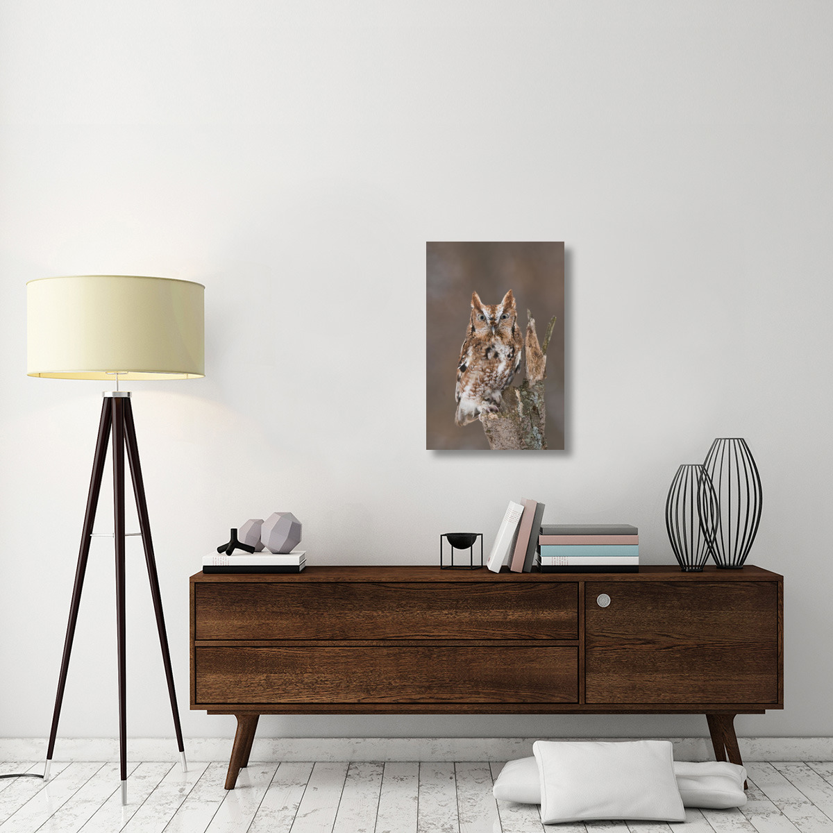Eastern Screech Owl red morph, Howell Nature Center, Michigan-Canvas Art-20&quotx30"