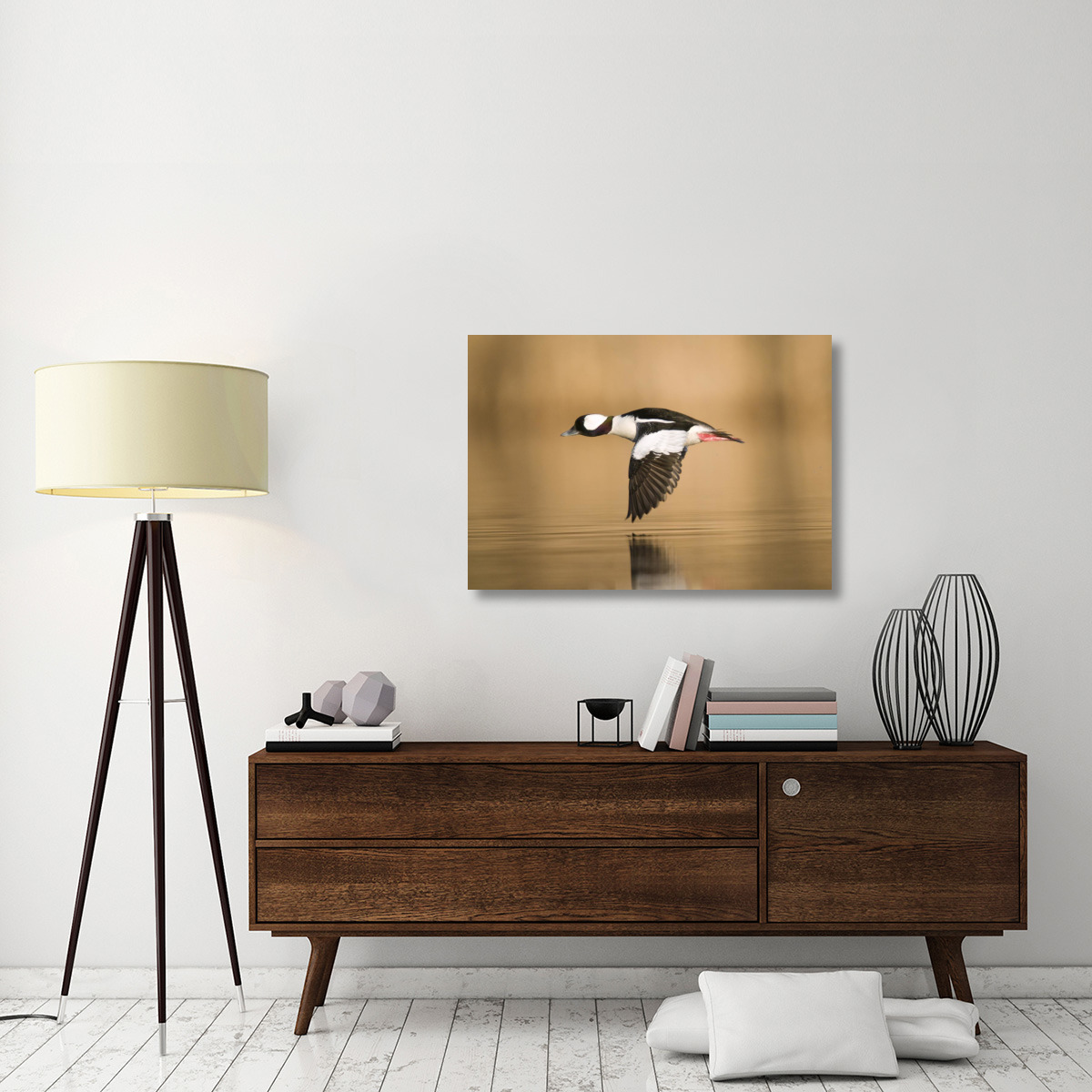 Bufflehead male flying, Island Lake Recreation Area, Michigan-Canvas Art-40&quotx28"