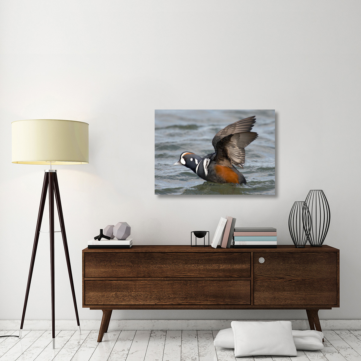Harlequin Duck male taking flight, Barnegat Light, New Jersey-Canvas Art-40&quotx28.4"