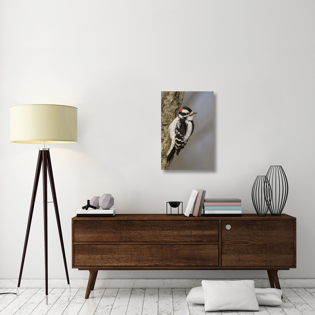 Downy Woodpecker male, Kensington Metropark, Milford, Michigan-Canvas Art-20&quotx30"