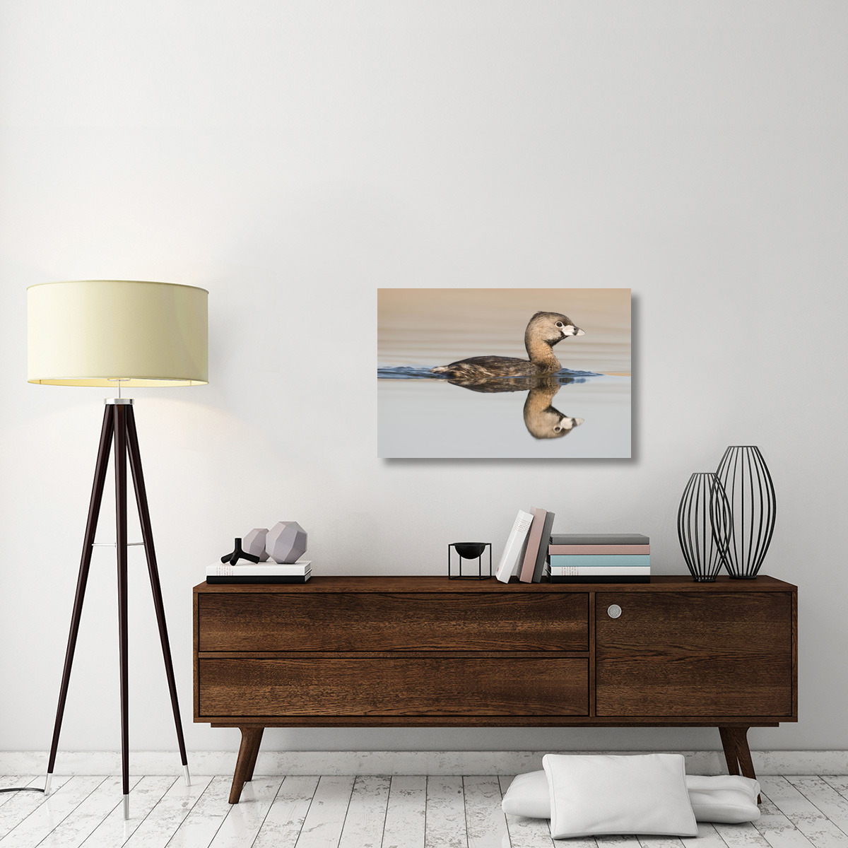 Pied-billed Grebe swimming, Island Lake Recreation Area, Michigan-Canvas Art-36&quotx24"