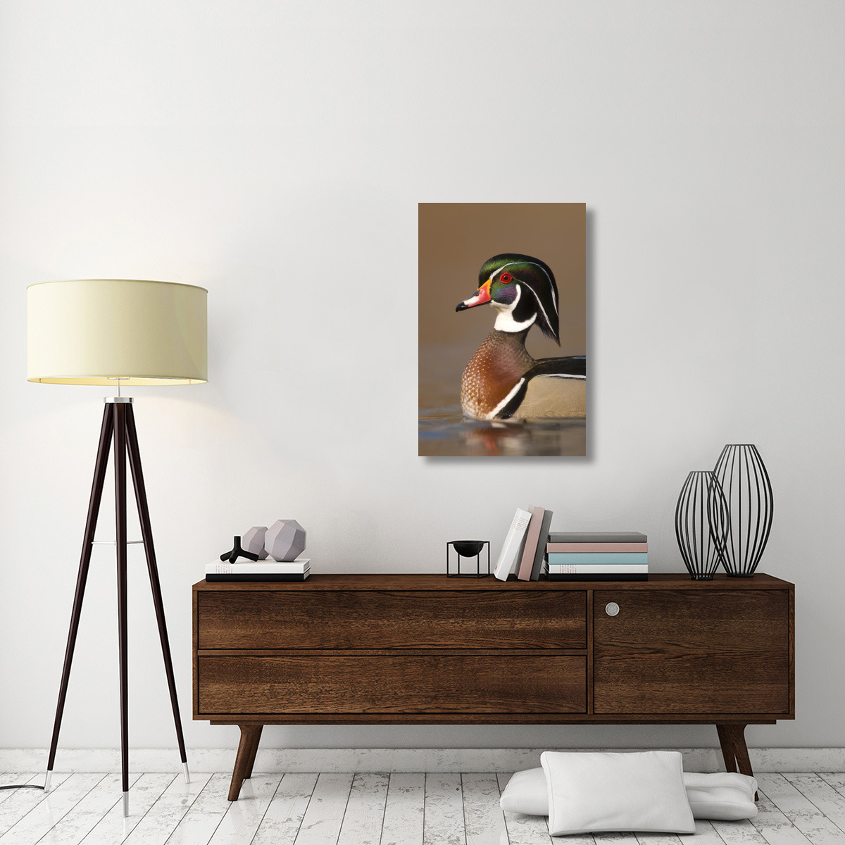 Wood Duck male in breeding plumage, Lapeer State Game Area, Michigan-Canvas Art-24&quotx36"