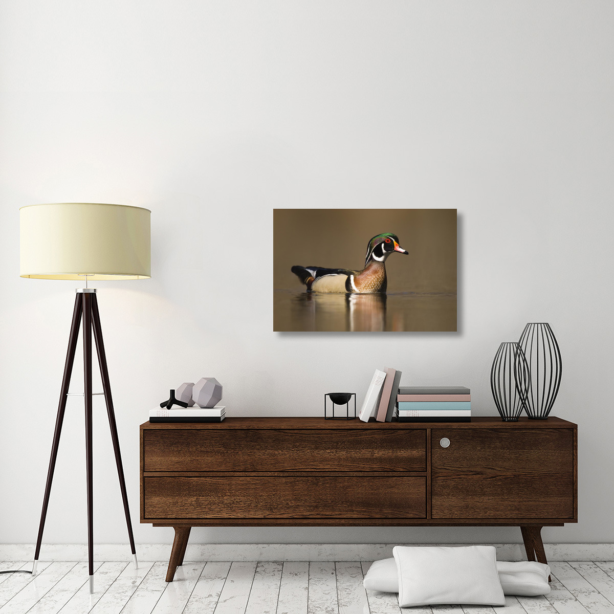 Wood Duck male in breeding plumage, Lapeer State Game Area, Michigan-Canvas Art-36&quotx24"