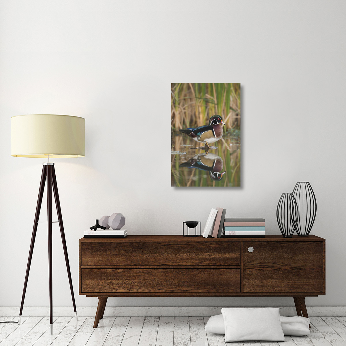 Wood Duck male in breeding plumage, Lapeer State Game Area, Michigan-Canvas Art-24&quotx36"