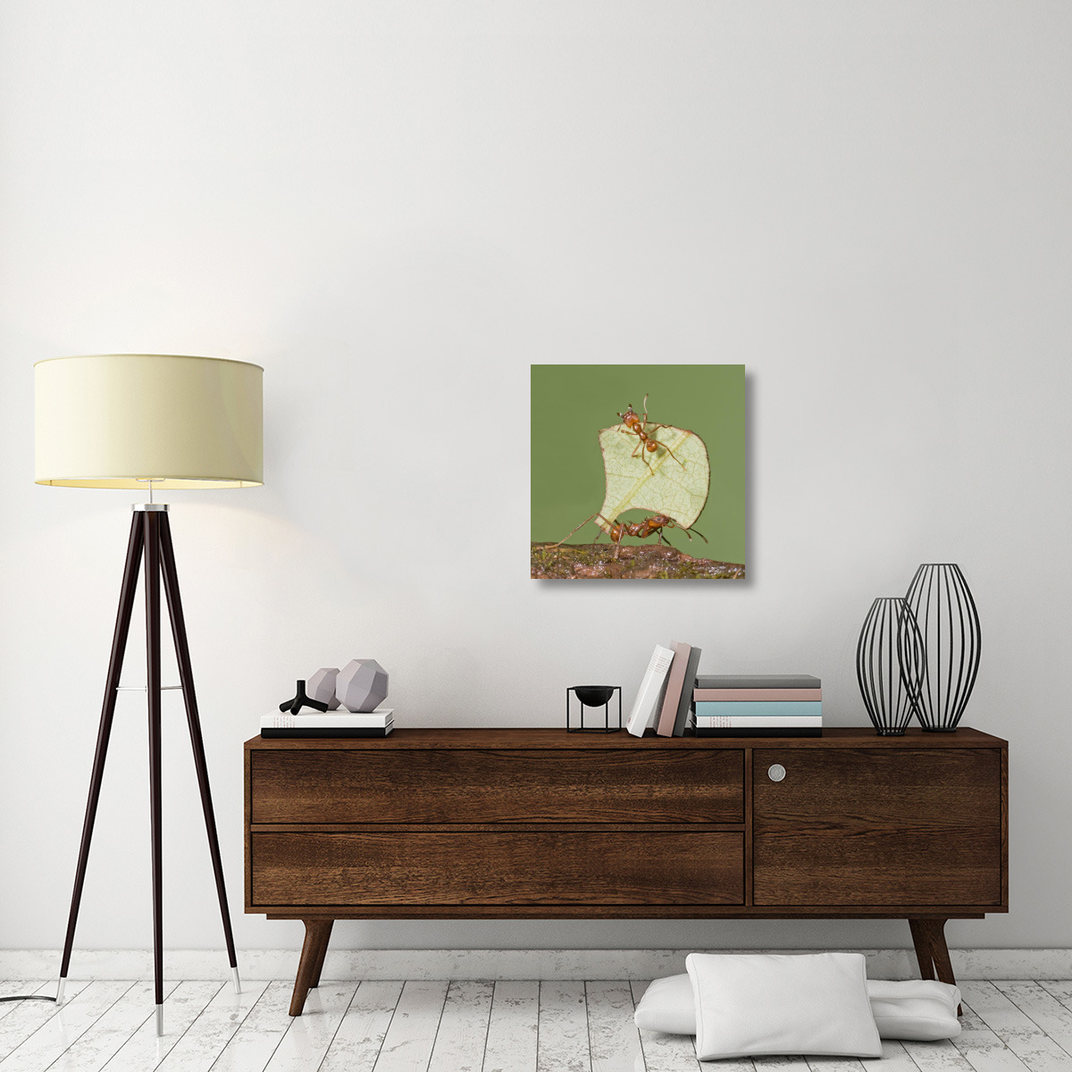 Leafcutter Ant carrying leaf with guard protecting worker, Costa Rica-Canvas Art-24&quotx24"