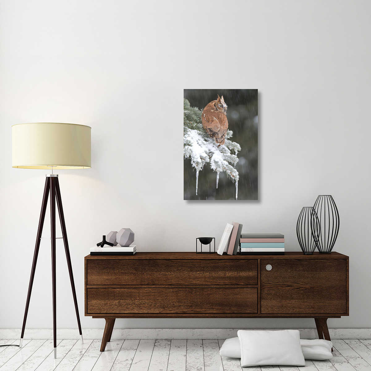 Eastern Screech Owl red morph in winter, Howell Nature Center, Michigan-Canvas Art-24&quotx36"