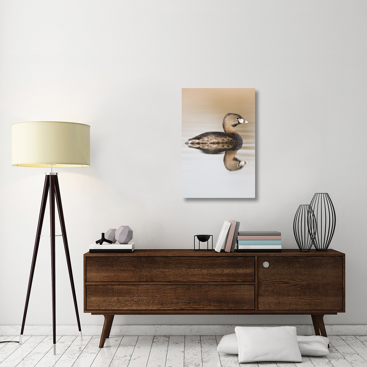 Pied-billed Grebe in breeding plumage, Island Lake Recreation Area, Michigan-Canvas Art-24&quotx36"