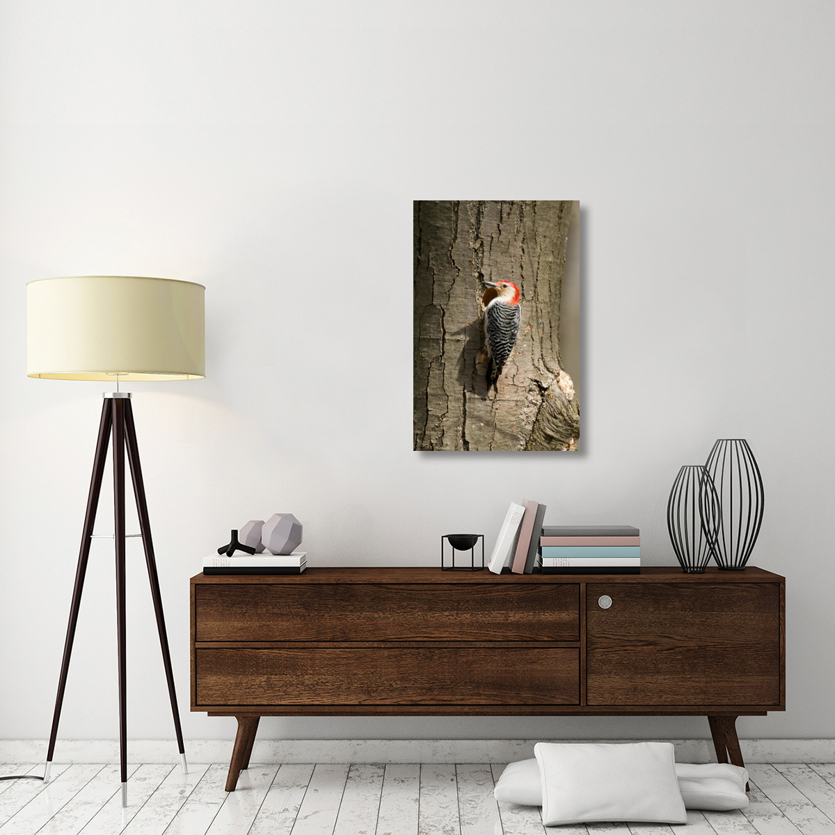 Red-bellied Woodpecker male at nest cavity, Huron Meadows Metropark, Michigan-Canvas Art-24&quotx36"