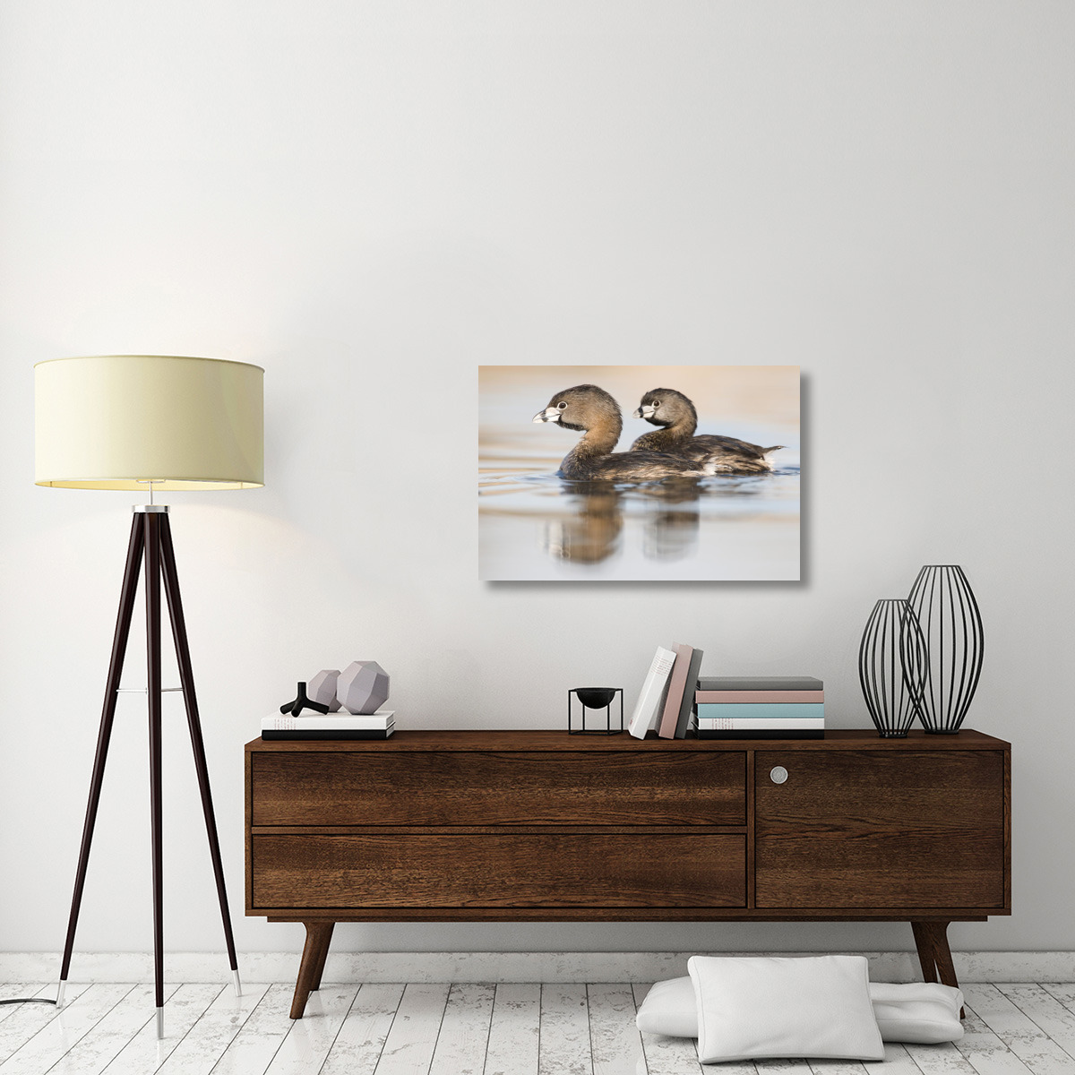 Pied-billed Grebe pair in breeding plumage, Island Lake Recreation Area, Michigan-Canvas Art-36&quotx24"
