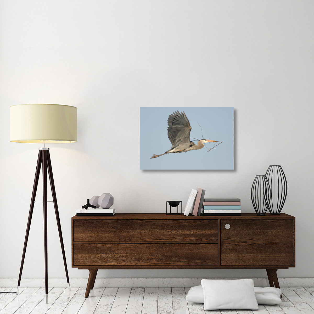 Great Blue Heron flying with nest material, Kensington Metropark, Milford, Michigan-Canvas Art-36&quotx24"