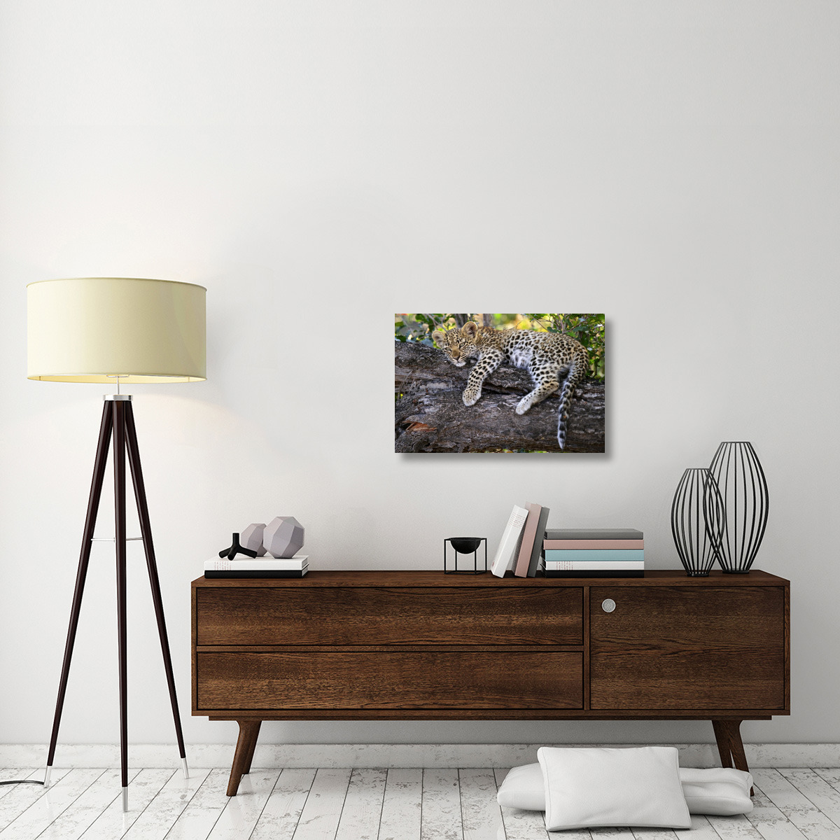 Leopard cub resting in tree, Botswana-Canvas Art-30&quotx20"