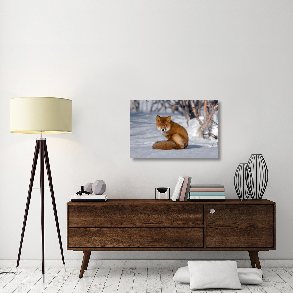 Red Fox sitting on snow, Kamchatka, Russia-Canvas Art-36&quotx24"