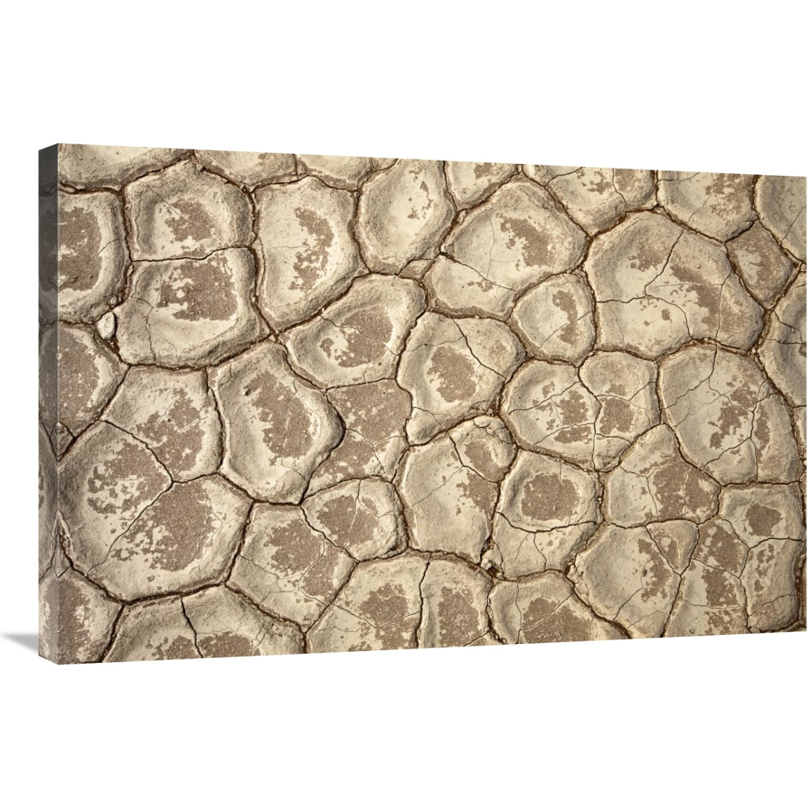 Patterns in the Clay Pan of Dead Vlei-Canvas Art-36&quotx24"