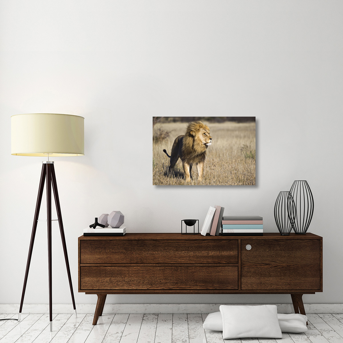 African Lion male, Khutse Game Reserve, Botswana-Canvas Art-36&quotx24"