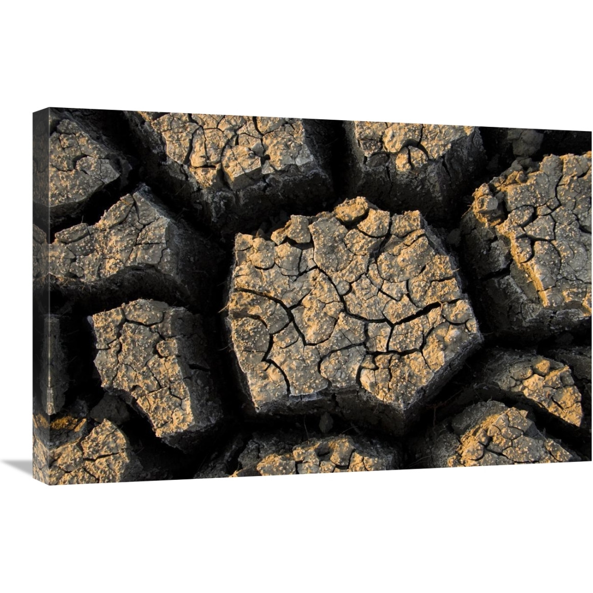 Cracked, dried out mud, Mokolodi Nature Reserve, Botswana-Canvas Art-30&quotx20"