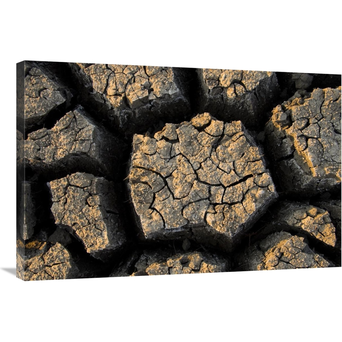 Cracked, dried out mud, Mokolodi Nature Reserve, Botswana-Canvas Art-36&quotx24"